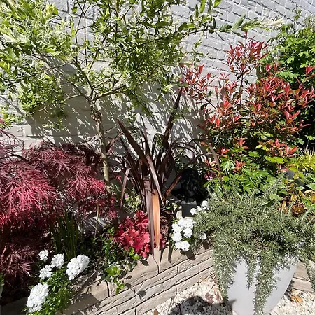 La Parenthese Σπίτι διακοπών Tournai